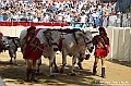 VBS_0999 - Palio di Asti 2024